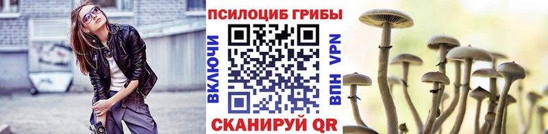 ссылка на мегу как войти магазин наркотиков Нефтегорск Псилоцибиновые грибы Psilocybine cubensis